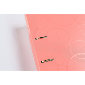 Bán buôn tùy chỉnh màu xanh 4 lỗ D-<span class=keywords><strong>Ring</strong></span> Nhựa Pp A4 trong suốt bảo vệ tấm đòn bẩy thư mục vòm. - Product Image 6