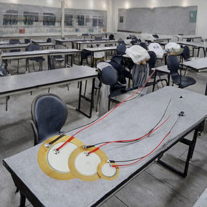 אלמנט פיזואלקטרי מסוג ביזר פיזואו, דיסק קרמי מאלומינה-זירקוניה עם חוט בקוטר 12/15/18/20/27/35/50 מ\\\"מ - Product Image 2