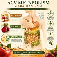 Gummies au vinaigre de cidre de pomme OEM en gros 1000mg avec la mère naturelle, Betterave, Grenade, B12, Folate, Gestion du poids, Végétalien, Sans sucre