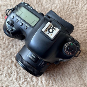 Cámara DSLR <span class=keywords><strong>Canon</strong></span> <span class=keywords><strong>EOS</strong></span> <span class=keywords><strong>5D</strong></span> <span class=keywords><strong>Mark</strong></span> <span class=keywords><strong>II</strong></span> de Segunda Mano, Kit de Cámara de Fotograma Completo, Cuerpo Profesional para Retratos, Bodas, Viajes y Fotografía de Estudio - Product Image 5