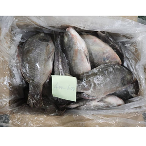 Tilapia en gros, exportation de Chine, poisson tilapia congelé, Peixe Tilapia Congelada - Product Image 3