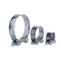 TheOne – Ensemble d'accessoires de serrage réglables en acier inoxydable pour flexibles, structure de serrage pivotante, électroplaqué blanc/jaune