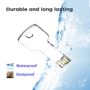 Clés <span class=keywords><strong>USB</strong></span> 2.0 64 Go en métal en forme <span class=keywords><strong>de</strong></span> <span class=keywords><strong>clé</strong></span>, clés <span class=keywords><strong>USB</strong></span> 16 Go 32 Go, clés <span class=keywords><strong>USB</strong></span> 128 Go avec logo personnalisé - Product Image 2
