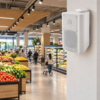 Système de sonorisation professionnel certifié ROHS pour l'extérieur, amplificateur audio, coque en métal, équipement de sonorisation mural en plastique