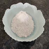 Hydroxyde de calcium de haute qualité à 90 % de contenu, poudre de chaux hydratée, poudre de chaux vive utilisée pour l'amélioration des sols et le traitement des eaux usées