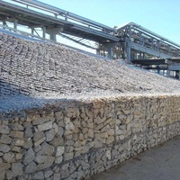 Caisse de gabion galvanisée robuste en treillis métallique à double torsion pour la protection des berges fluviales