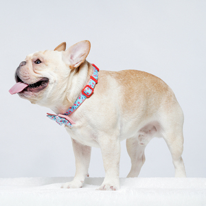 UFBemo, gran oferta, collares de perro con estampado multicolor personalizados, Collar ajustable de liberación rápida para perros y gatos - Product Image 2