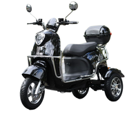 Tricycle électrique puissant : batterie 60V, frein à tambour, charge rapide