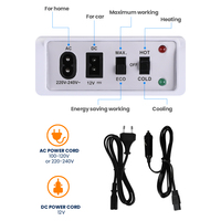 Nevera de coche para acampar al aire libre, Enfriador de hielo de 20 litros, caja calentadora, mesa, 12V, Semiconductor