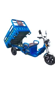 Guowei Electrico tricycle électrique de voiture Trikes électriques de haute qualité pour la livraison