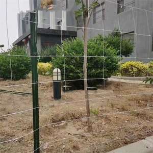 Valla Agrícola Económica de Nudos Fijos, Valla Galvanizada para Campos, Protección Contra Cabras - Product Image 2