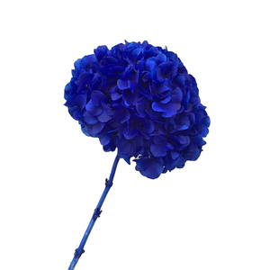 Ramo <span class=keywords><strong>de</strong></span> Flores Secas LUYI, <span class=keywords><strong>Hojas</strong></span> Grandes, Rosa, Azul, Morado, Blanco, Rosa Empolvado, Rojo, Hortensias Preservadas para Decoración <span class=keywords><strong>de</strong></span> Eventos - Product Image 2