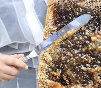 Nouveaux outils d'apiculture, couteau d'apiculteur en acier inoxydable, couteau à miel en forme de Z