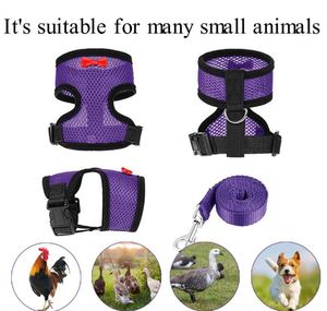 Free Sample <b>Chicken</b> Hen Vest Breathable Air Mesh Adjustable Training <b>Chicken</b> <b>Harness</b> With Leash For Duck Goose Rooster Small - Product Image 4