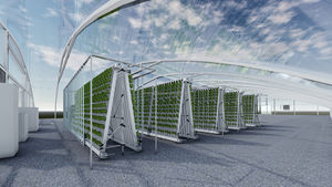 Lyine 2025 Nouvelle conception <span class=keywords><strong>Tour</strong></span> de culture hydroponique à fermeture éclair personnalisée, Serres agricoles murales hydroponiques à fermeture éclair, Hydroponie verticale pour la laitue - Product Image 4