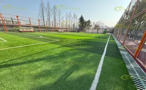 EXITO Customizable Size Soccer Court Outdoor Football Tennis Facilities Padel Court With 7 Person-Soccer With Customizable