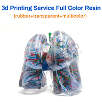 Service d'impression 3D couleur Stratasys PolyJet – Modèle médical personnalisé en matériaux mixtes pour la chirurgie orthopédique pulmonaire