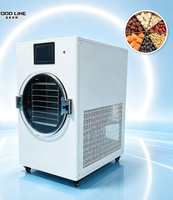 Hoge-efficiëntie roestvrijstalen kleine vriesdroogmachine voor kleine schaal fruit snoep lyofilisatie kleine vriesdroogmachine