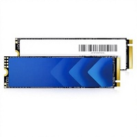 SSD NVMe PCIe Gen3.0 X4 2280 3D NAND M.2 512GB (dengan Heatsink) Internal Solid State Drive untuk Desktop