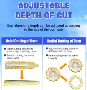 Macchina automatica per la sgranatura dei noccioli di mais 450 Kg/H macchina per la sgualco dei noccioli di mais - Product Image 3