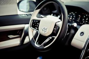 Pour le volant Land Rover personnalisé Range Rover volant en Fiber de carbone pour Range Rover Discovery <span class=keywords><strong>concessionnaire</strong></span> vecteur personnalisé - Product Image 4