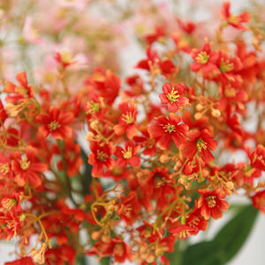 Fiore Artificiale di Dafne in Seta da 73cm all'Ingrosso, Centrotavola per Matrimoni, Allestimenti Floreali e Decorazioni - Product Image 4