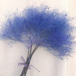 Hierba de Ensueño Preservada, Hierba Seca, 2-3 Piezas/Paquete, ETERNAL, 65-70 cm, Larga Duración, 3-5 Años, Ramo Natural para Manualidades, Centro de Mesa para Bodas - Product Image 4