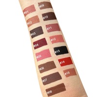 Crayon à lèvres vegan de haute qualité, marque privée, haute pigmentation, imperméable, longue tenue, vente en gros