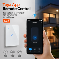 Interrupteur mural intelligent UBARO 118 Zigbee 3.0 à 2 boutons, panneau en verre trempé, application Tuya, commande vocale à distance avec Alexa et Google Assistant