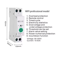 Graffiti 40A Disjoncteur Sans Fil Smart WIFI Commutateur Téléphone Mobile Télécommande Voix Timing Électricité Statistiques Mini LI