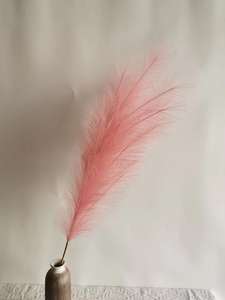 Popular Faux <span class=keywords><strong>Pampas</strong></span> Fluffy 110cm <span class=keywords><strong>120</strong></span> <span class=keywords><strong>Cm</strong></span> Artificial <span class=keywords><strong>Pampas</strong></span> Hierba Reed Faux Silk <span class=keywords><strong>Pampas</strong></span> - Product Image 4