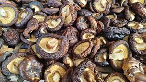 批发散装即食脱水健康零食 - 非油炸、低温脱水干香菇。 - Product Image 6