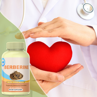 OEM Berberine HCl 98% Haute Concentration 500mg Capsules Antioxydants Naturels pour le Soutien du Métabolisme du Glucose