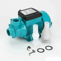 Pompe à eau QB60 12V/24V/48V DC-High-Lift & Large Flow, auto-amorçante (moteur brossé, solaire/alimenté par batterie)