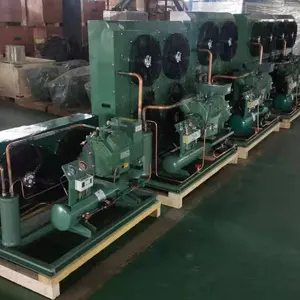 Nhà Máy Giá 8HP 10HP Làm Mát Bằng Không Khí Ngưng Tụ Đơn Vị Bay Hơi R404a Ngưng Tụ Đơn Vị Lạnh Lưu Trữ Thiết Bị Bay Hơi