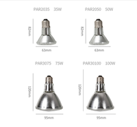 Lampe Chauffante Écologique PAR38 en Verre Type G pour Ovins et Volailles (60W, 70W, 100W, 120W, 150W, 175W) – Promotion Exceptionnelle