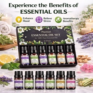 Juego de Caja de Regalo con 6 Aceites Esenciales Premium de Menta de 10 ml <span class=keywords><strong>para</strong></span> Humidificador y Difusor - Extracto 100% Puro de Plantas Naturales - Product Image 2