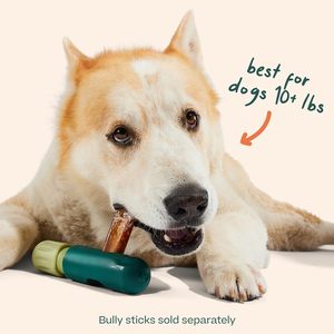 WOOF BullySafe - Soporte para <span class=keywords><strong>Bully</strong></span> Stick - Soporte Duradero para Masticar para Perros, para un Juego Seguro y Duradero, Fácil de Limpiar, Sin Más Peces de Ganso en la Boca - Product Image 6
