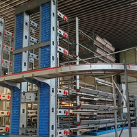 Cage à poulets de type H entièrement automatique pour l'élevage de poulets pondeurs