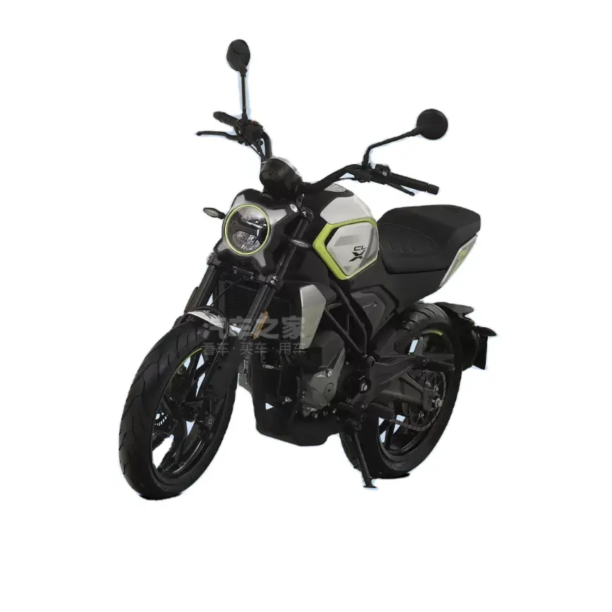 6 Speed 2023 New Cfmotos 250CL-X 250cc 4 Stroke New Motorcycles For Sale