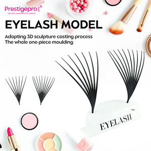 Kit de formation pour l'application de <span class=keywords><strong>cils</strong></span> en boucles, vente chaude, modèle de <span class=keywords><strong>cils</strong></span> pour les écoles de formation, les institutions, les démonstrations d'enseignement - Product Image 3