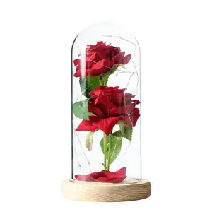 情人节母亲节特别浪漫礼物美女与野兽玫瑰发光二极管灯玻璃圆顶红色玫瑰灯