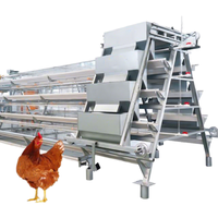 Système de cages résistantes à la corrosion de type A pour poules pondeuses et poulets de chair en élevage en batterie - Équipement avicole
