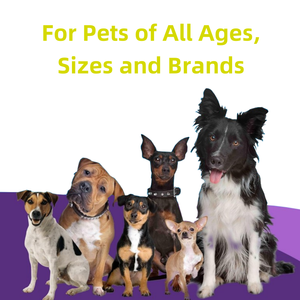 תוסף תזונה וויטמינים לכלבים, פרוביוטיקה לכל הגזעים, תומך בבריאות מערכת העיכול ובתפקוד המעיים, MOQ נמוך. - Product Image 3