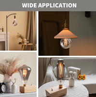 Smoky Edison LED Vintage Smoky Glass Filament Ampoule Intérieur AC Alimenté Sans Scintillement LED Filament Ampoule Lumières décoratives Utilisation pour Café