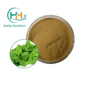 Natural Herba Menthae Heplocalycis Spearmint Dried Mint Leaves Mint Leaf Peppermint Powder Extract