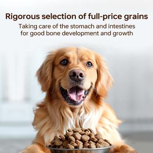 Venta caliente de alimentos secos para gatos y perros de calidad superior Tienda de mascotas Distribuidor de alimentos para gatos y perros Hecho en China Fabricante de alimentos para perros - Product Image 5