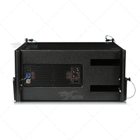 Imanes de neodimio VERA12P, altavoz amplificado de matriz lineal de 12 pulgadas, equipo de audio de sonido DSP