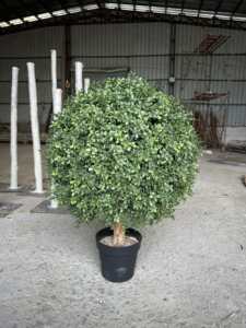 Árbol <span class=keywords><strong>de</strong></span> topiario <span class=keywords><strong>de</strong></span> globo perenne <span class=keywords><strong>de</strong></span> alta calidad, forma <span class=keywords><strong>de</strong></span> cono <span class=keywords><strong>de</strong></span> boj preservado, macetas <span class=keywords><strong>de</strong></span> topiario <span class=keywords><strong>de</strong></span> bonsái <span class=keywords><strong>de</strong></span> plantas artificiales, árbol certificado UV - Product Image 2