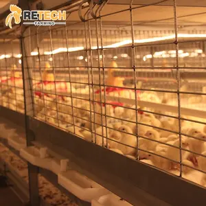 Fully Automatic System Broiler Poultry Farm 5000 H Type Battery Cage For Broiler Chicken